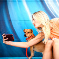 Bringing Your Furry Friend to Festivals in Los Angeles County, CA: An Expert's Perspective
